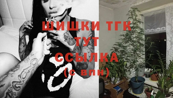 метадон Няндома