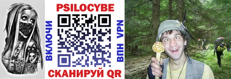 продажа наркотиков Кирсанов Псилоцибиновые грибы прущие грибы